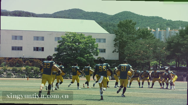 赛事数据 即时比分看板